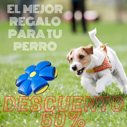 Pelota Voladora Con Luces Mascotas - Flyball